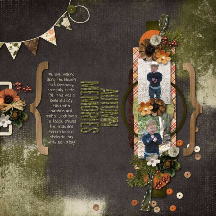 Autumn Memories