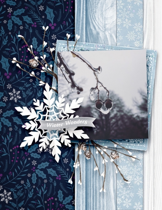 WinterWonders