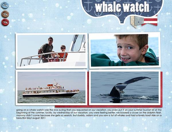 whale watch