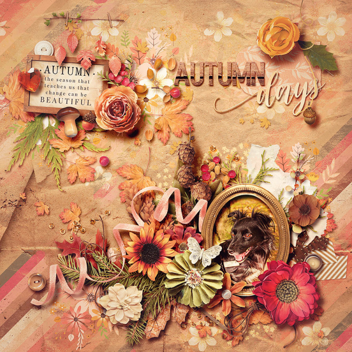 autumn days