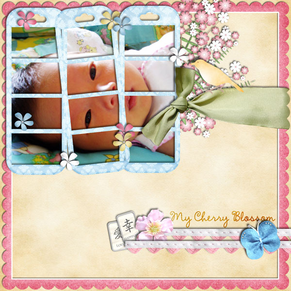 my-cherry-blossom