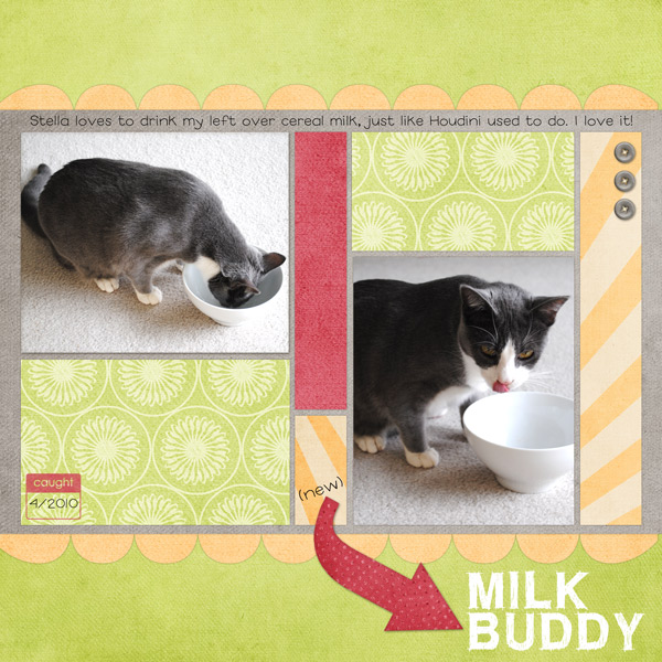 new-milk-buddy-web