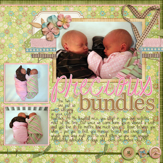 preciousbundles_dec2009