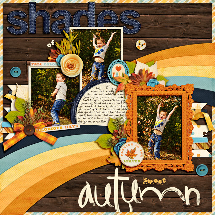 shades-of-autumnSSD