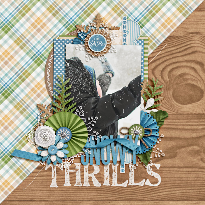 snowy-thrillsSSD