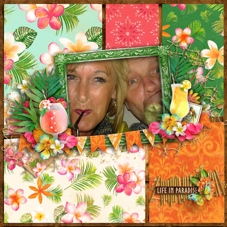 tcot-wishfulthinking-gotropica-kcbl