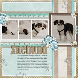 100130---Snehund.jpg