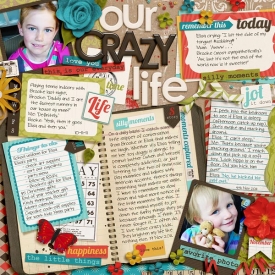 11-11-19-Our-crazy-life-web.jpg