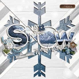 1212-MFish_SnowFun2_01.jpg