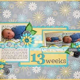 13weeks1.jpg