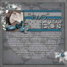 2010_01_27-two-many-tears.jpg