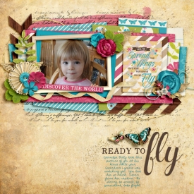2011-03-08-Ready-To-Fly.jpg