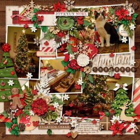 2013-12-17_ChristmasPresents_Holly_WEB.jpg