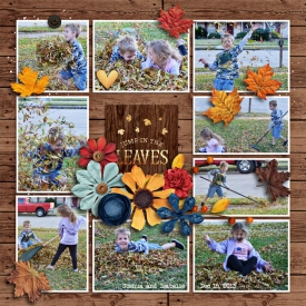 201312_leaves.jpg