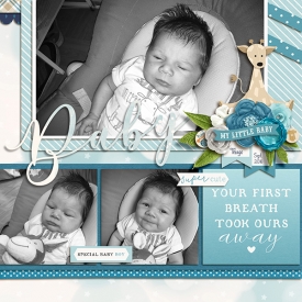 2908-Mfish_PictureThis3_01Left.jpg