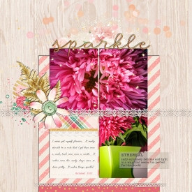 39_sparkle700w.jpg