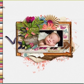 700newborncallie1.jpg