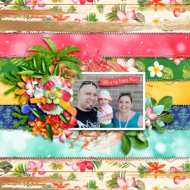 700ssdkcroninbarrow-go-tropical-pp1.jpg