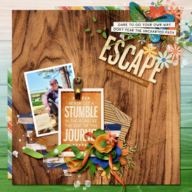 700ssdkcroninbarrow-trailblazer-path-woodgrain10.jpg