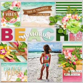 700ssdwendyp-pageprotectors-summer-2.jpg