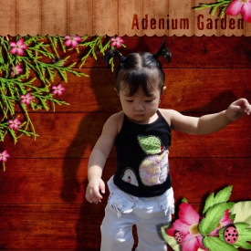 Adenium-Garden.jpg