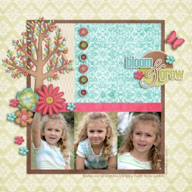 Bloom-and-Grow-copy.jpg