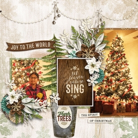 CG-dt-berrykissmasbl.jpg