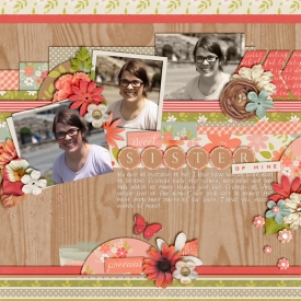 CT-CS-set164.jpg