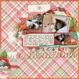CT-CS-set178.jpg