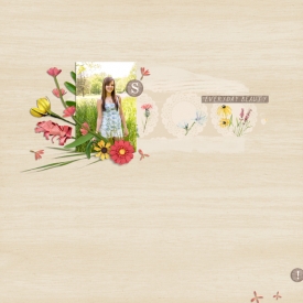 EverydayBeauty.jpg