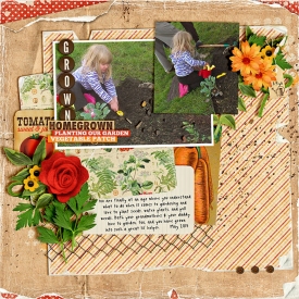 Garden-sm.jpg