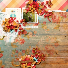 HSA-faded-glory-1-A.jpg