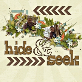 Hide-and-Seek2.jpg