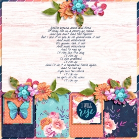 I-Will-Rise1.jpg