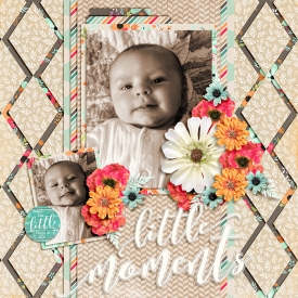 Little-Moments1.jpg
