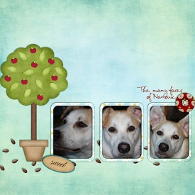ManyFaces.jpg