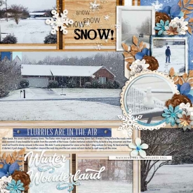 SnowinVA2025web.jpg