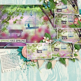 SpringHasSprung_EasterBirds_4-20-14.jpg