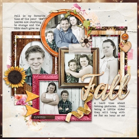 SwL_FrameworkTemplate3x700.jpg
