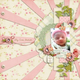SweetNewBaby.jpg