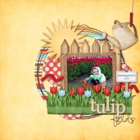 Tulip-Fields.jpg