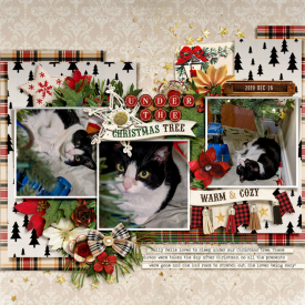 UnderTheChristmasTree_HollyBelle_2019-12-26.jpg