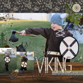 Viking_big.jpg