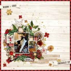 Warm_Cozy_HollyBelle_12-1-17.jpg