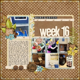 Week-16_WebBT2012.jpg