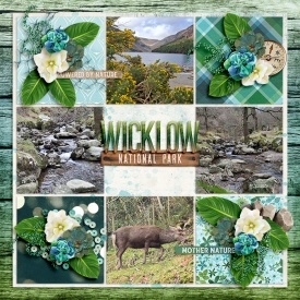 WicklowNationalParkweb.jpg