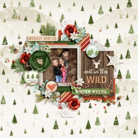 WinterWoods_KimEge700.jpg