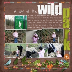 a-day-at-the-wild-park.jpg