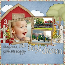 alittleboysdreamweb.jpg