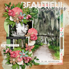 beautfiulmemoriesweb.jpg